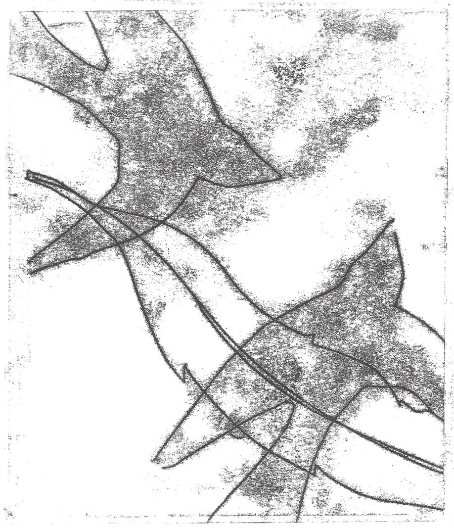 flight_tracemono.jpg