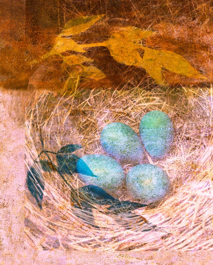 Leafnest_LR-1.jpg