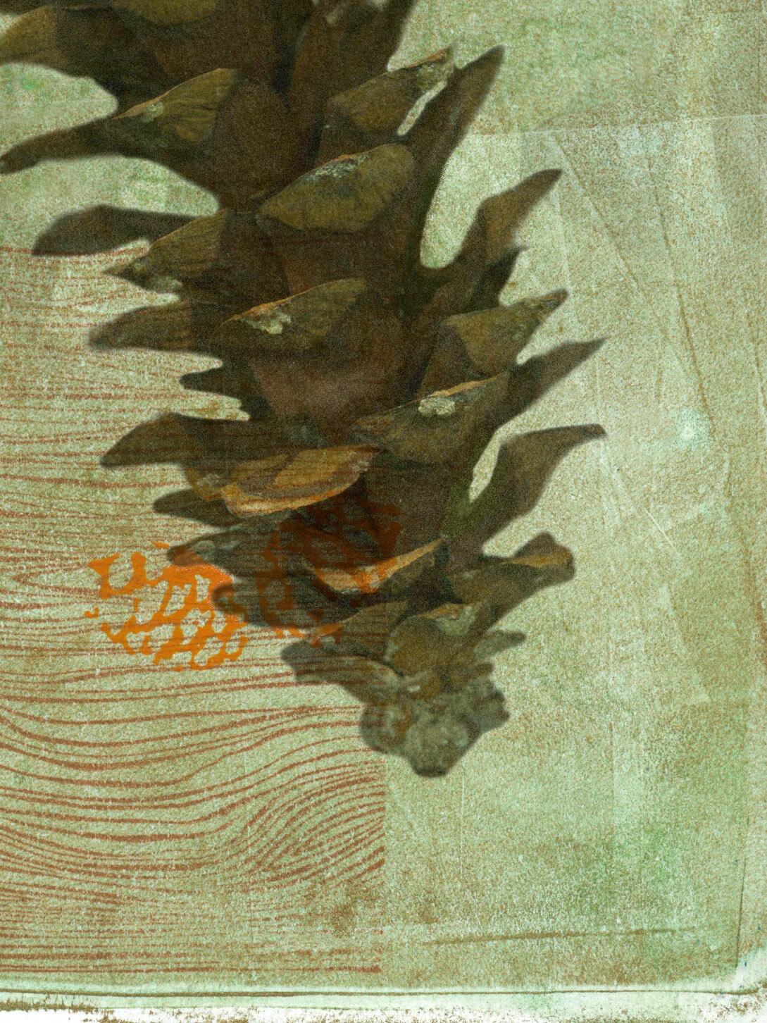 Fallen closeup.jpg