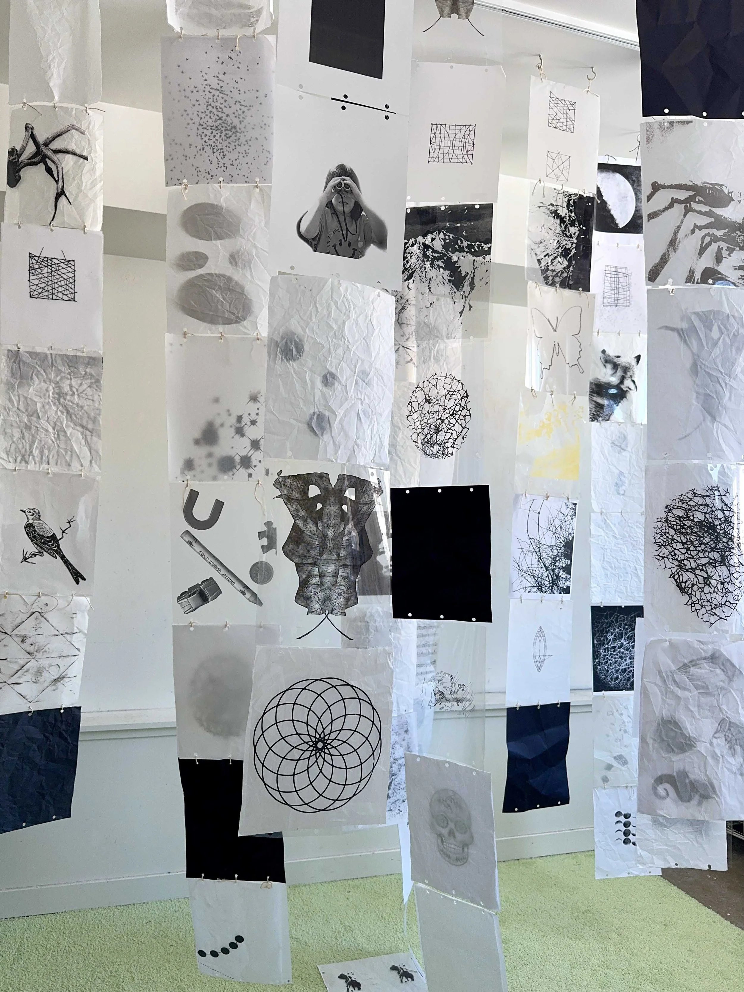 Through_storefront installation_LR.jpg