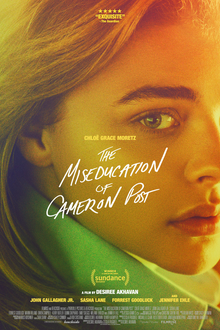 The Miseducation of Cameron Post.png