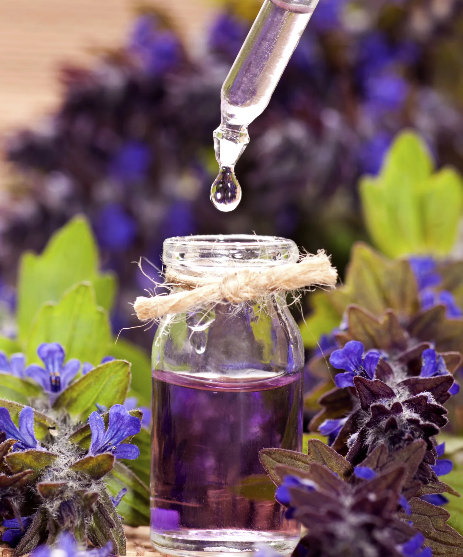 lavender-oil.jpg
