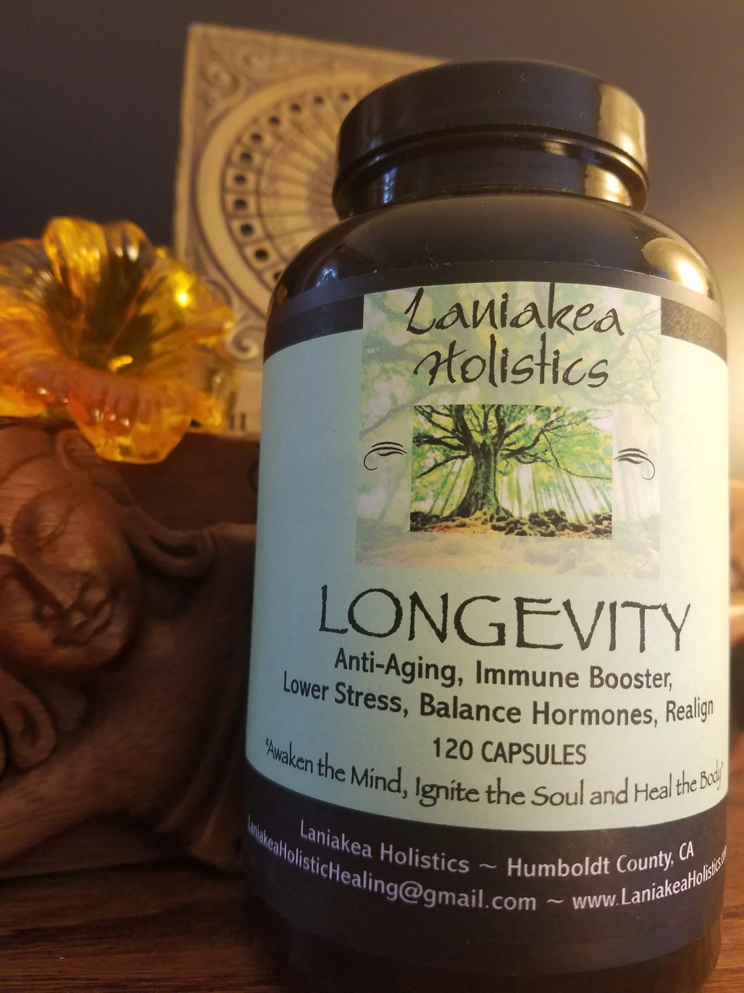 Longevity Supplement Capsules