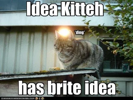 092511idealolcat-450x336.jpg