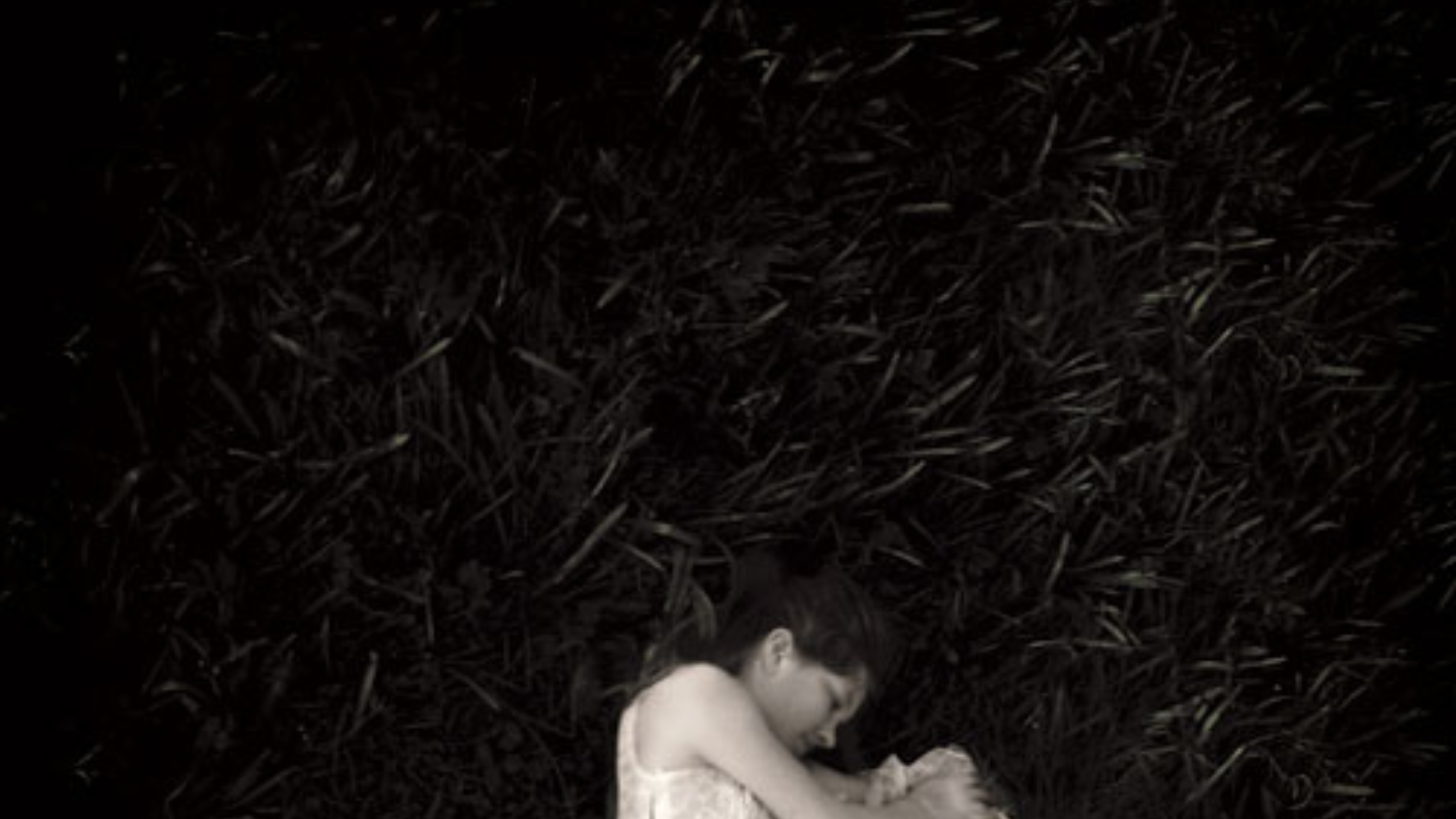 ASH banner image.png