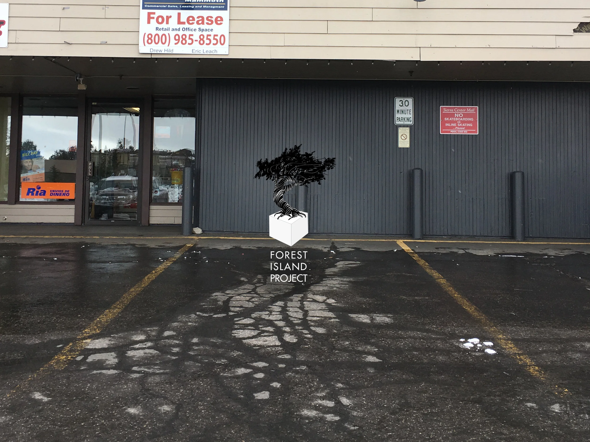 FICoverPhotos4_Lot.jpg