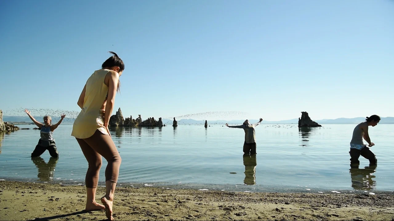 Performance: internatural 1