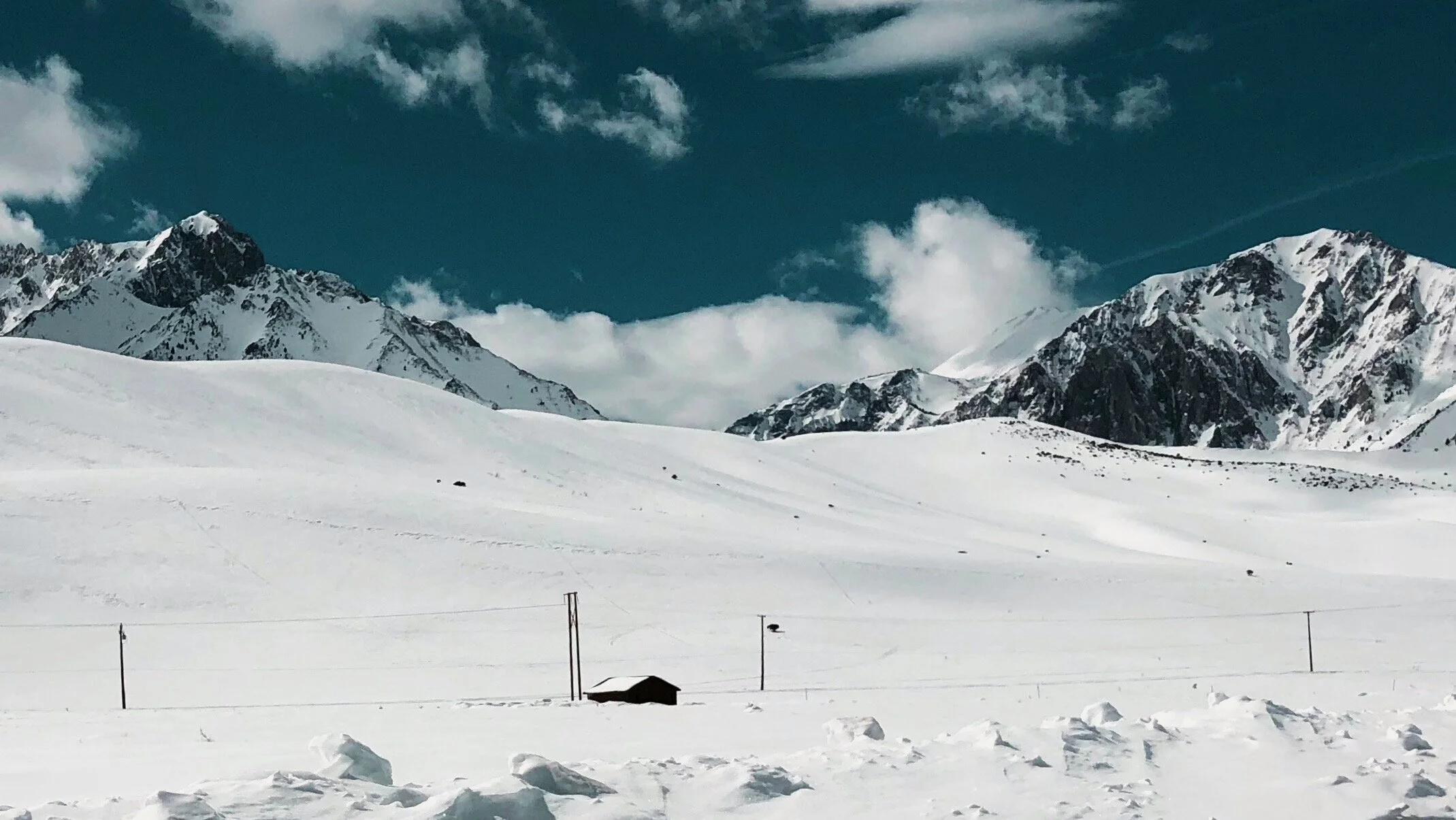 Avalanche Dynamics Exhibition &amp; Closing Party!