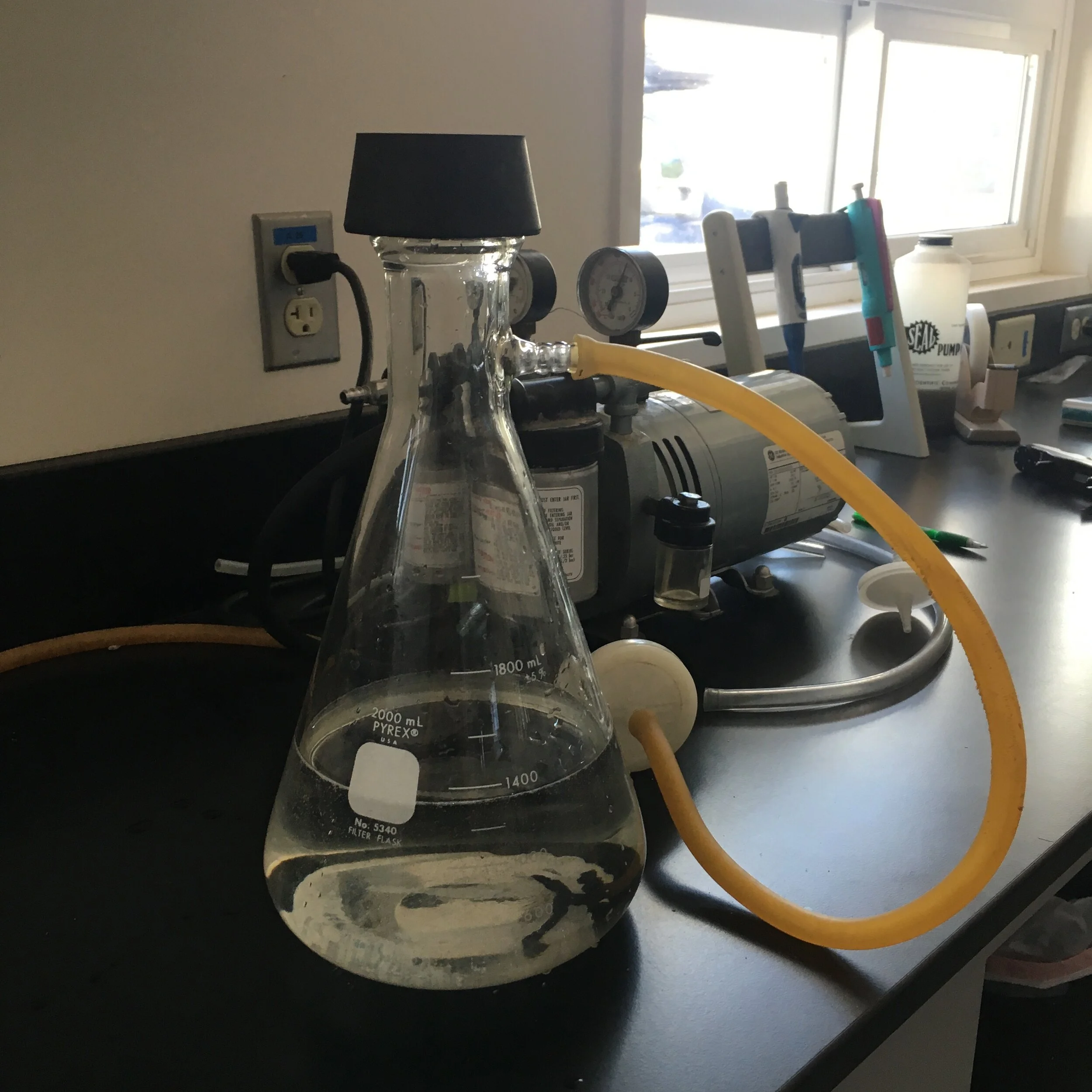 RESIDENCY SESSION - AVALANCHE DYNAMICS