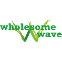 Wholesome Wave Executive Coaching & Staff Development + Visit Website