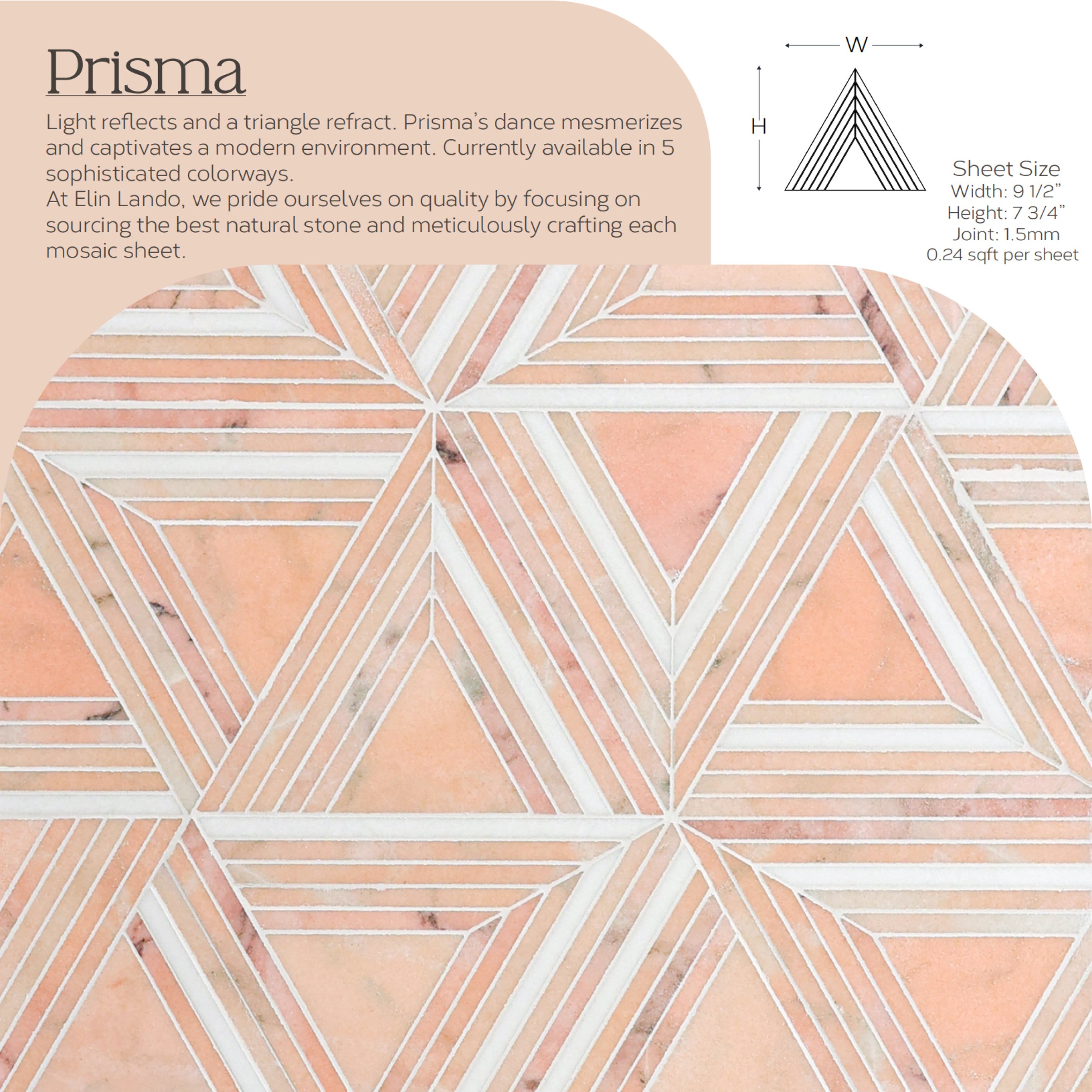 Prisma2021-1 thumbnail.jpg