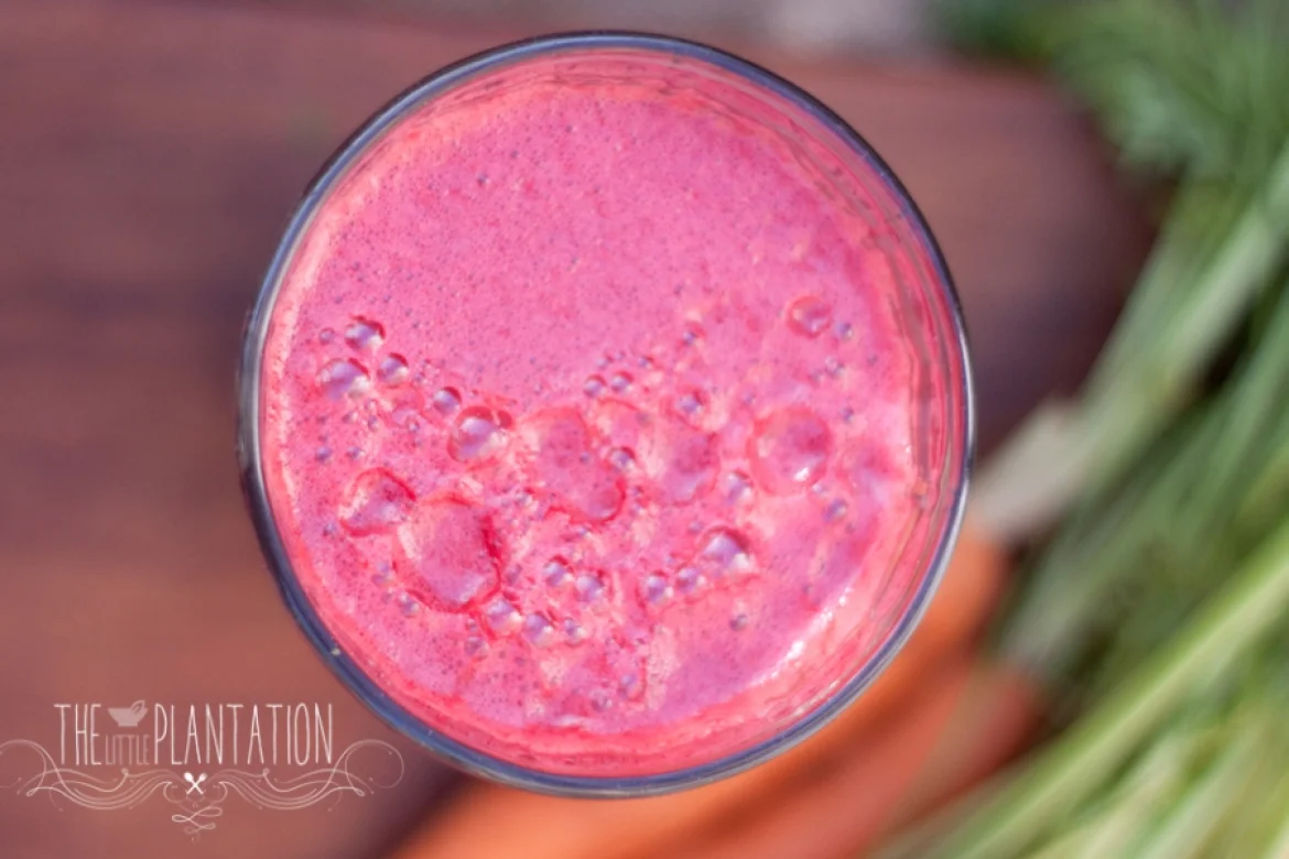 SEASONAL ABC JUICE (R, V+, NF, GF, P, CHF, GRF)