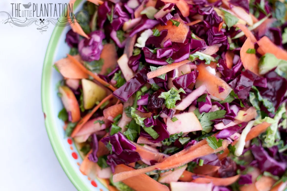 HEALTHY COLESLAW (R, V+, V, P, GF, NF, GRF)
