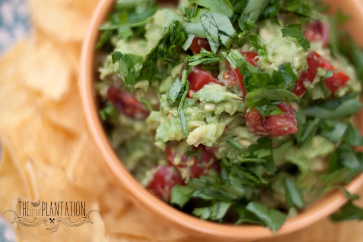 CHUNKY AVOCADO DIP (R, V+, GF, NF, P, CHF, GRF)