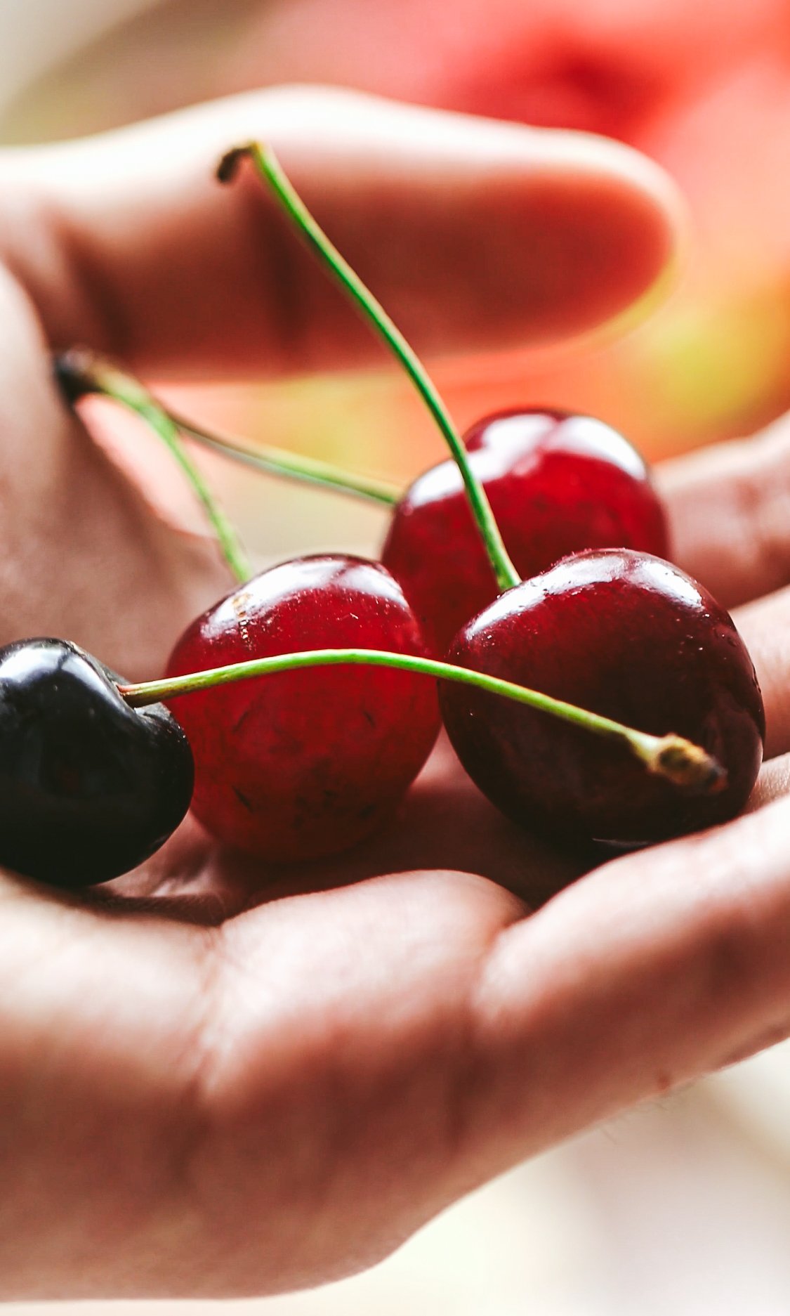 Blog post close up image showing a hand holding some cherries