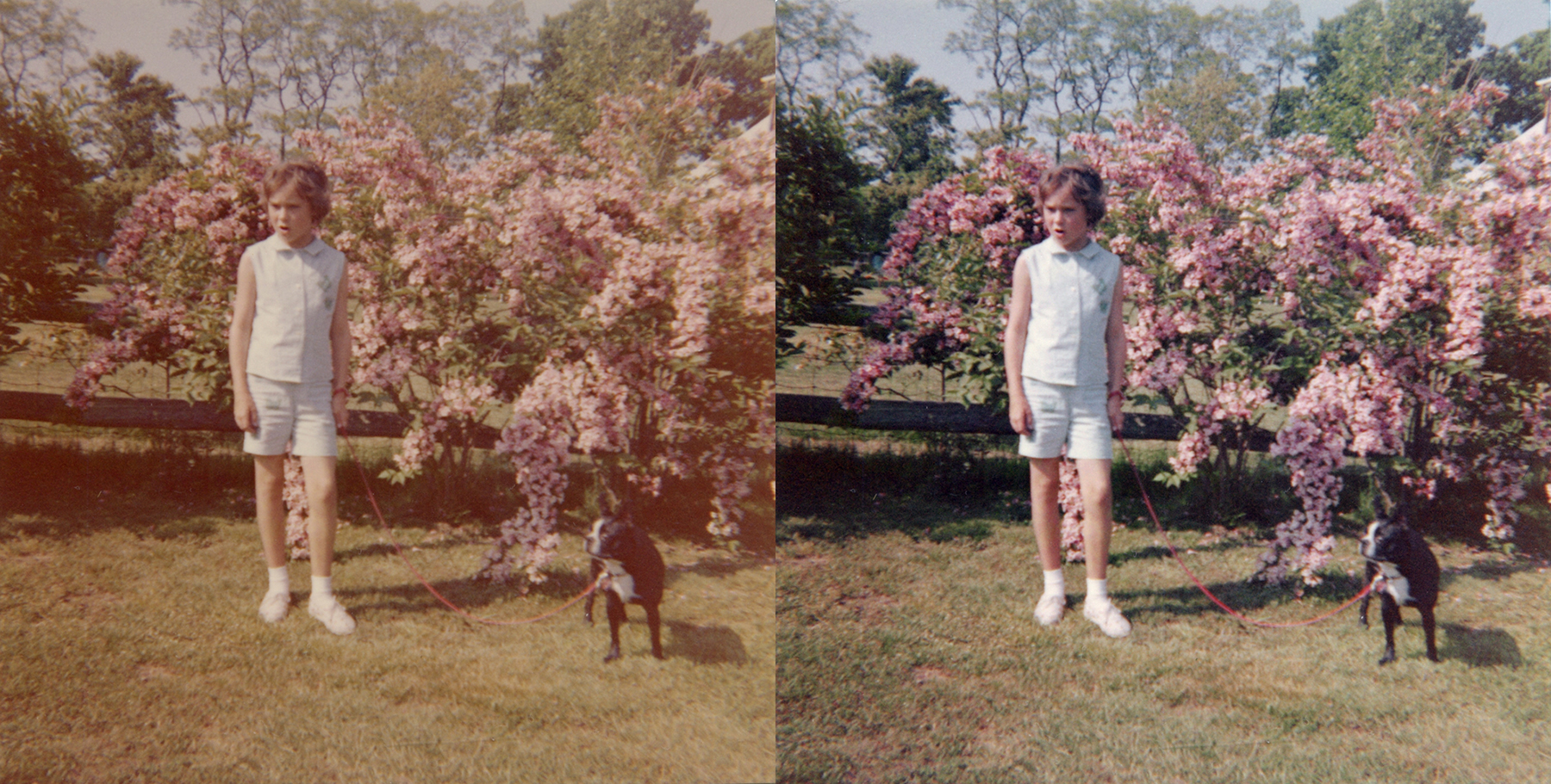 Digital Photo Restoration is one of many services offered at My Photo Preservation. Before restoration (left) and after restoration (right).
