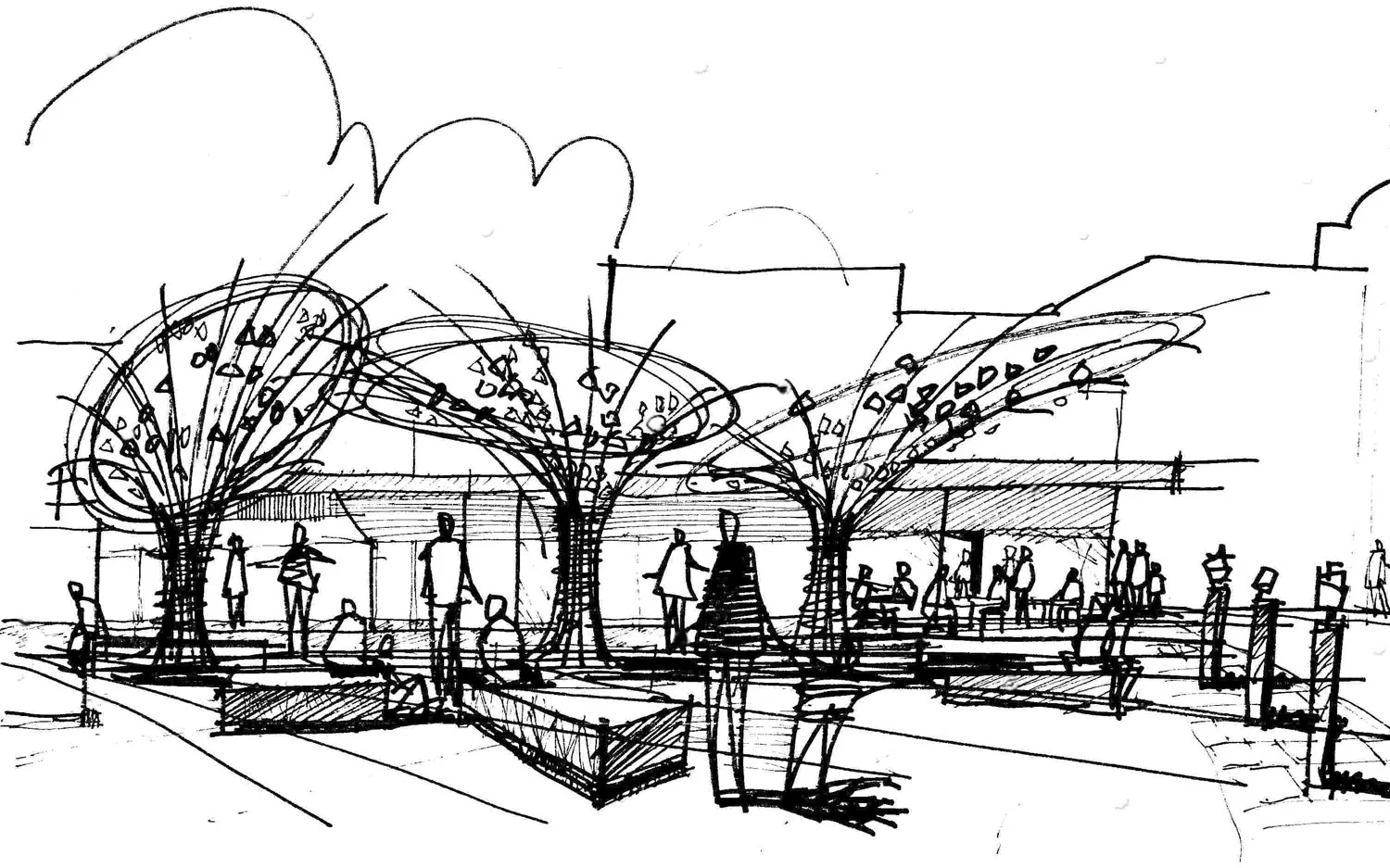 woodlea-sketches.png