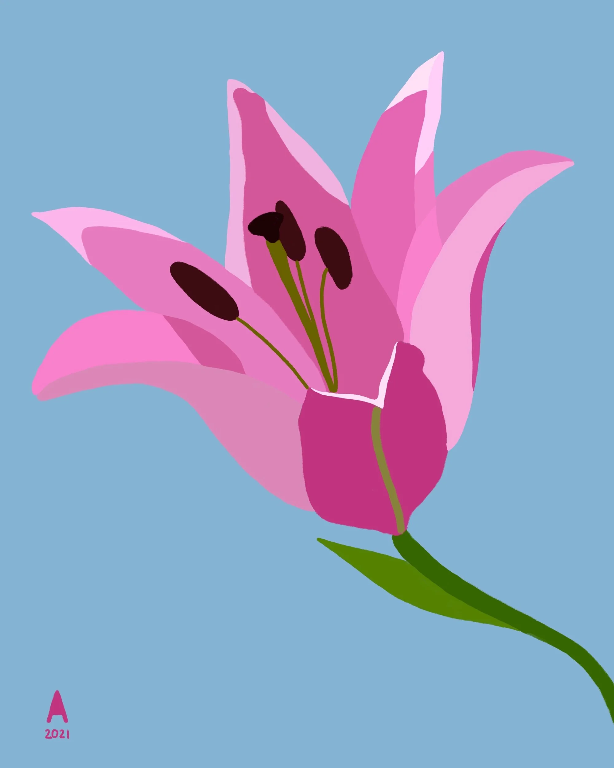 Botanical Digital Paintings