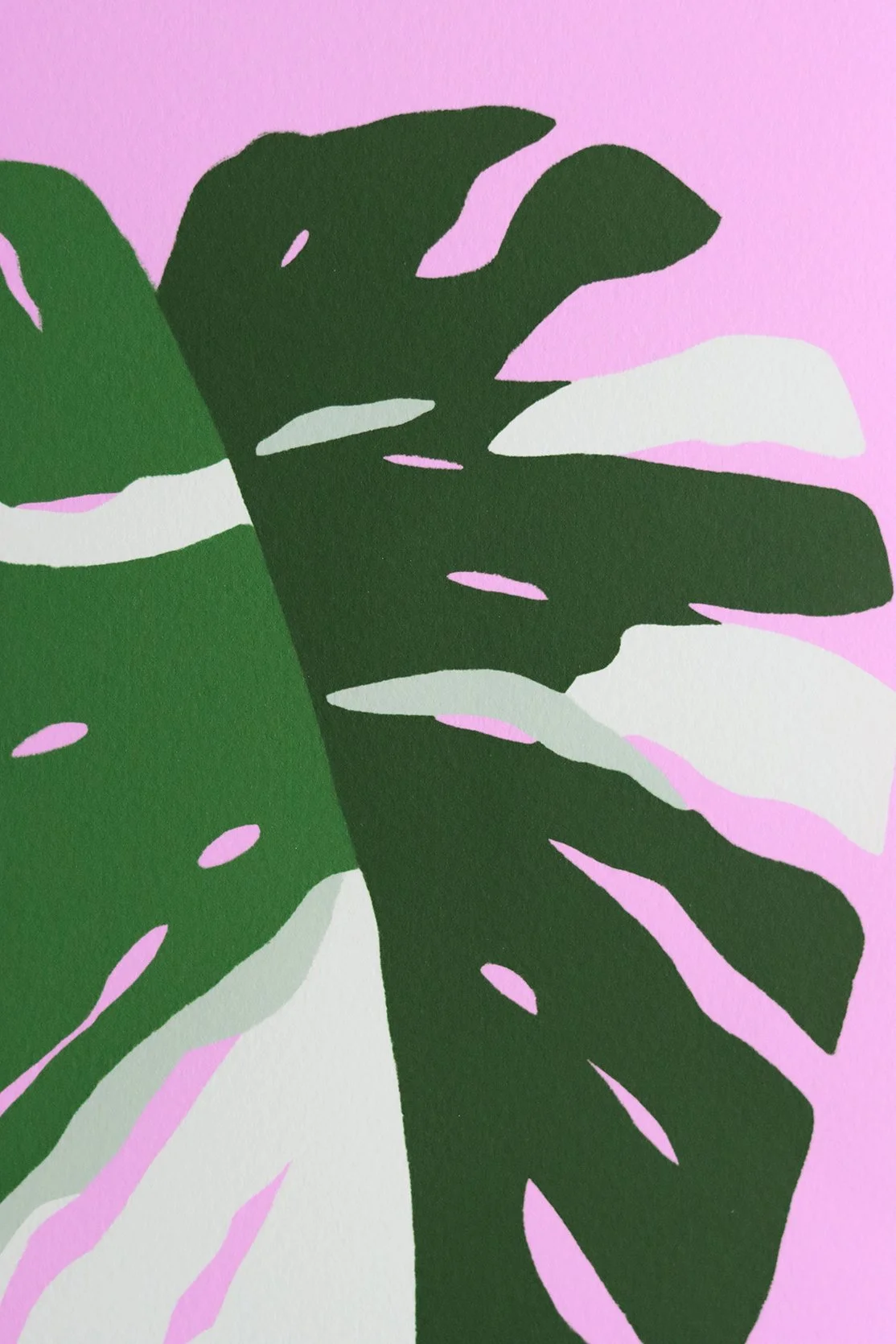 monstera light Monstera Plant Care - How to Grow Monstera deliciosa