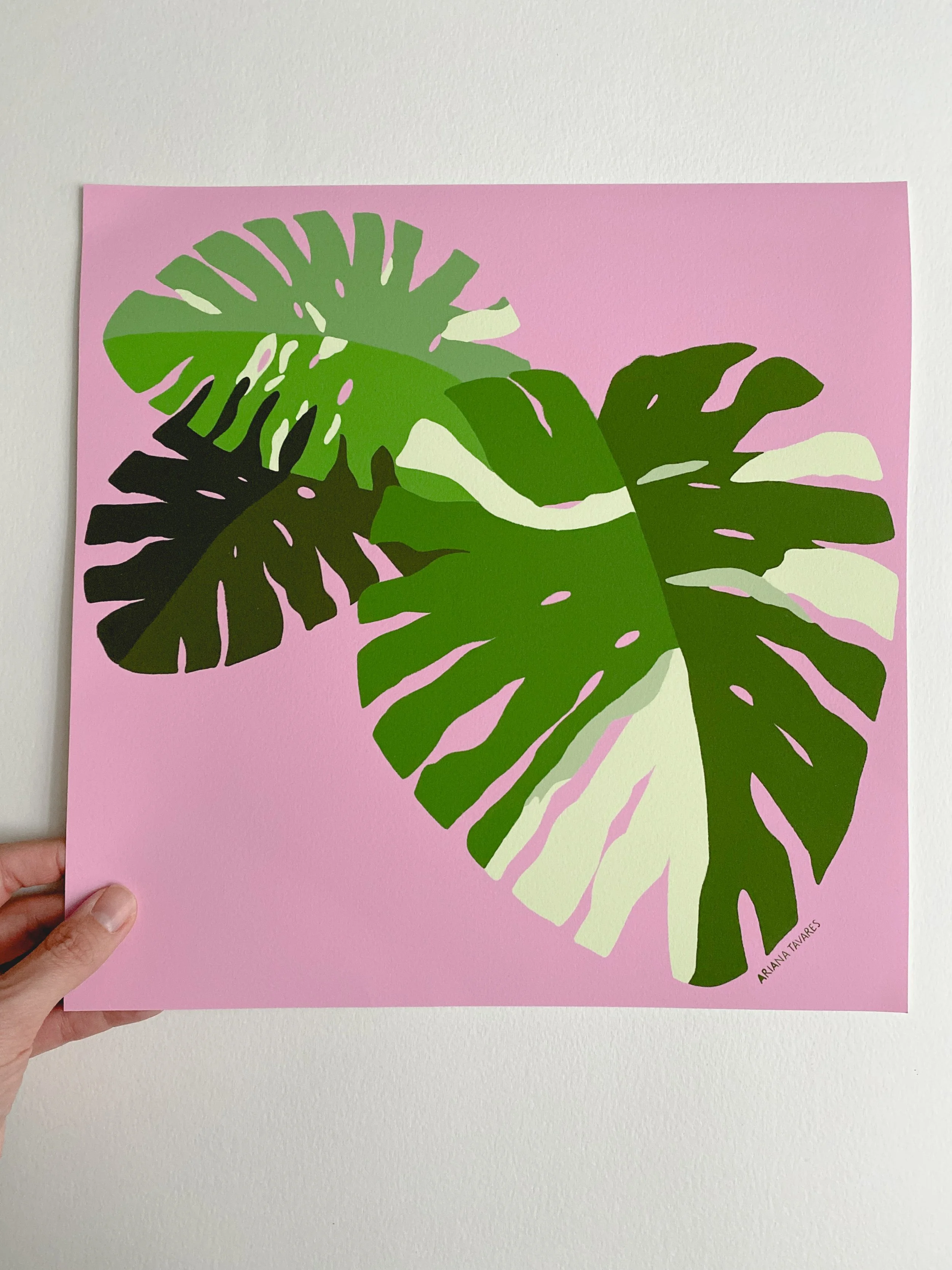 monstera ins freie Zimmerpflanzen Dünger, Monstera Dünger, 6 Monate Depotwirkung – PlantMe main image 0