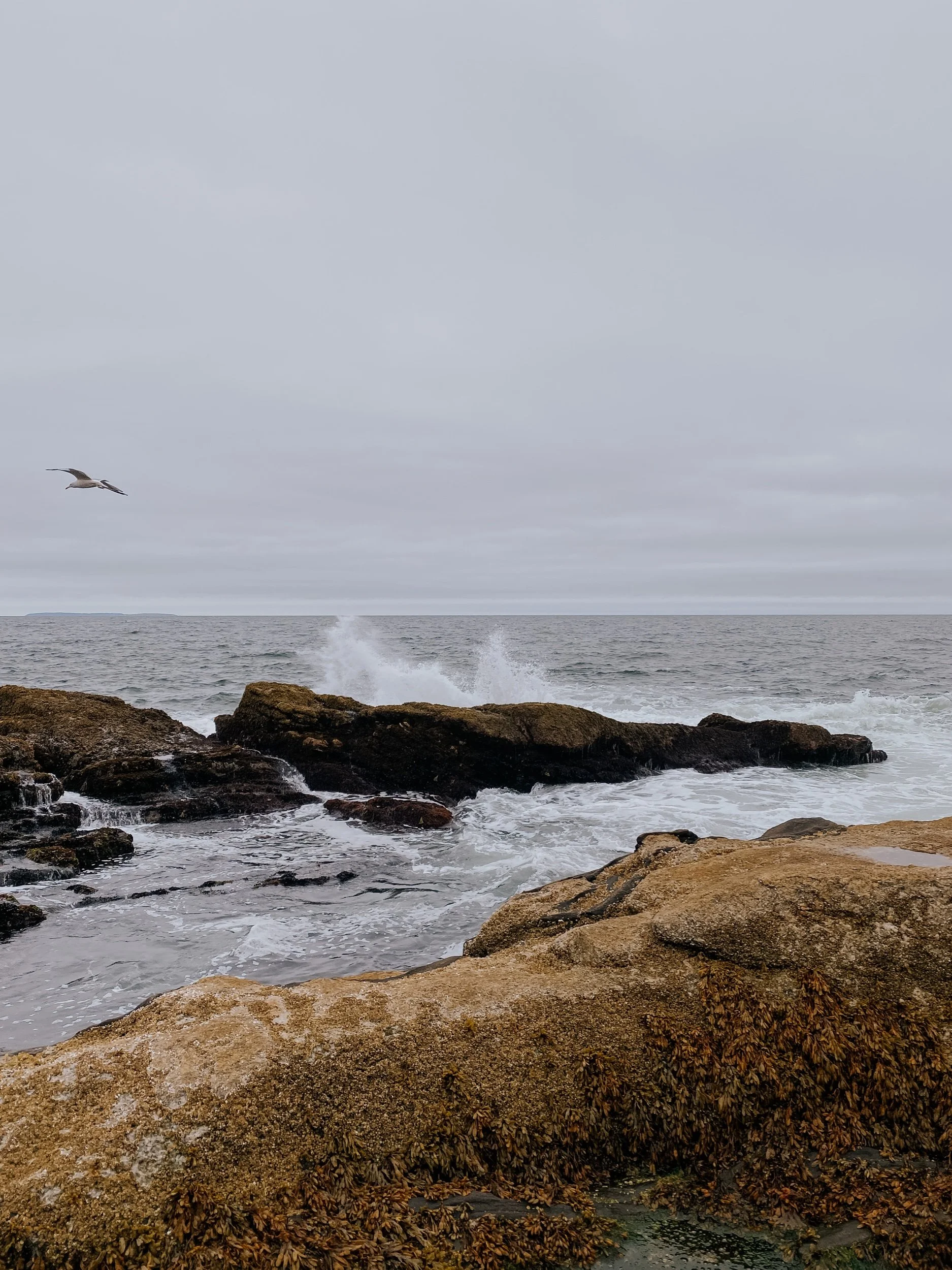 Pemaquid Point Park