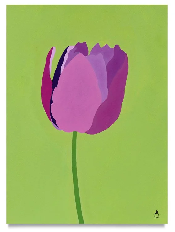 TULIP IN A VAST CAMP, 2021