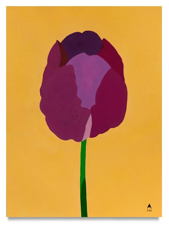 ariana-tavares-purple-tulip-in-the-gold-light-2021-gouache-on-paper-12x9-inches