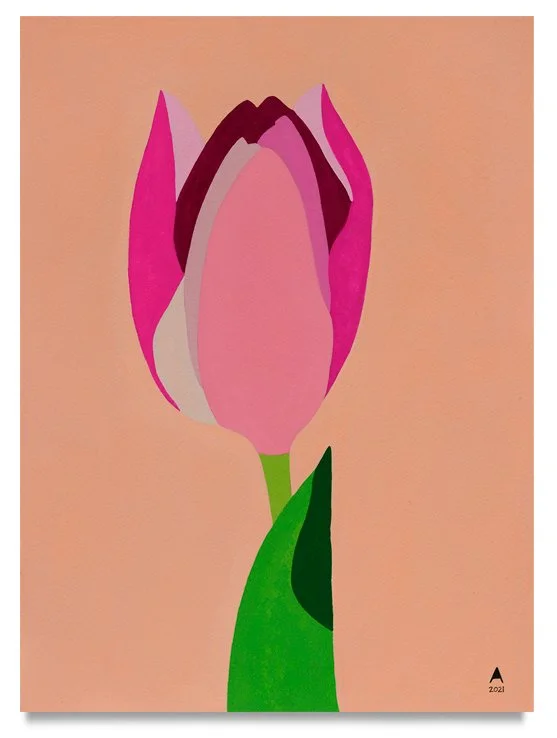 PINK TULIP PASSION, 2021
