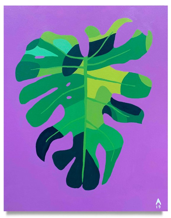 MONSTERA, 2019