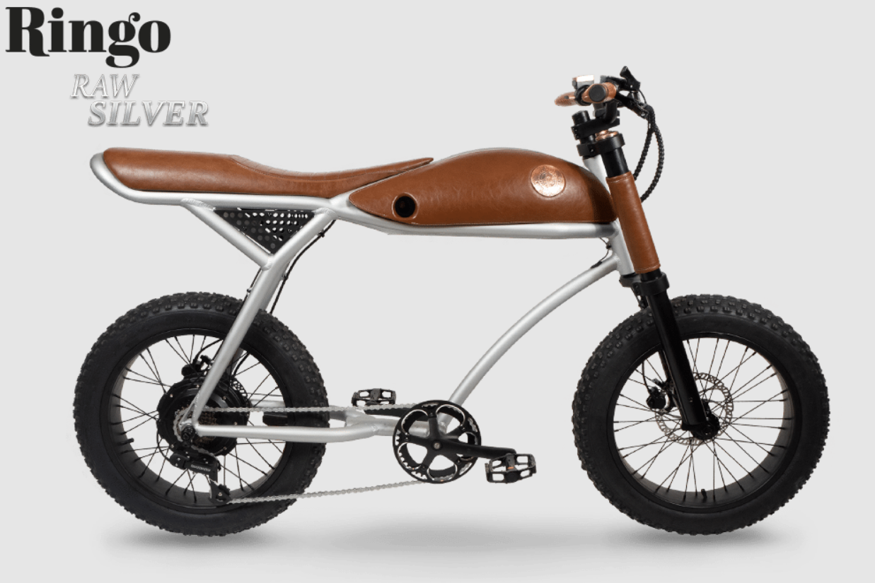 rayvolt cruzer for sale