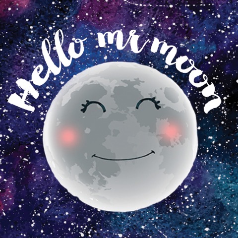 HELLO MR MOON