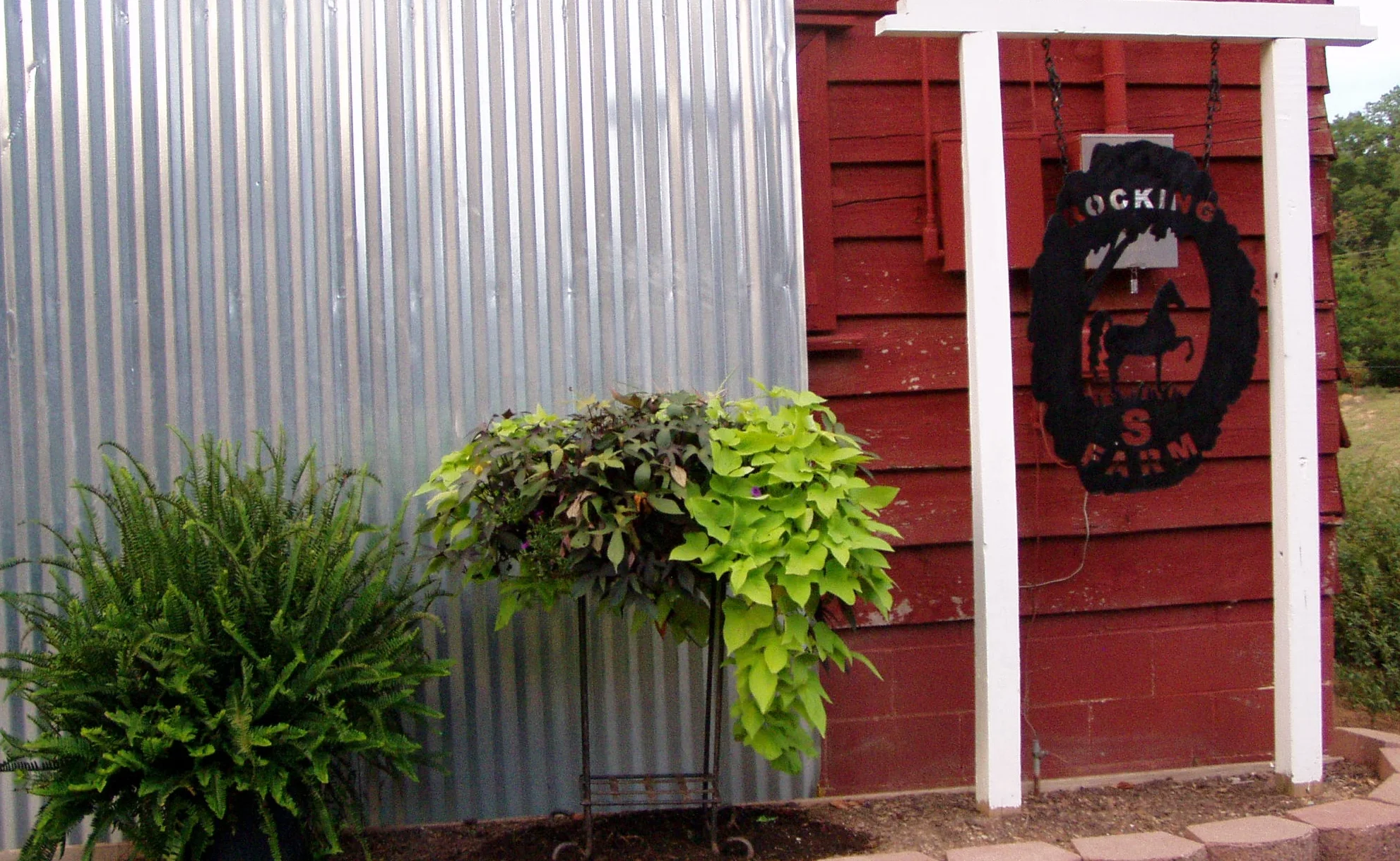 August 08 050.jpg