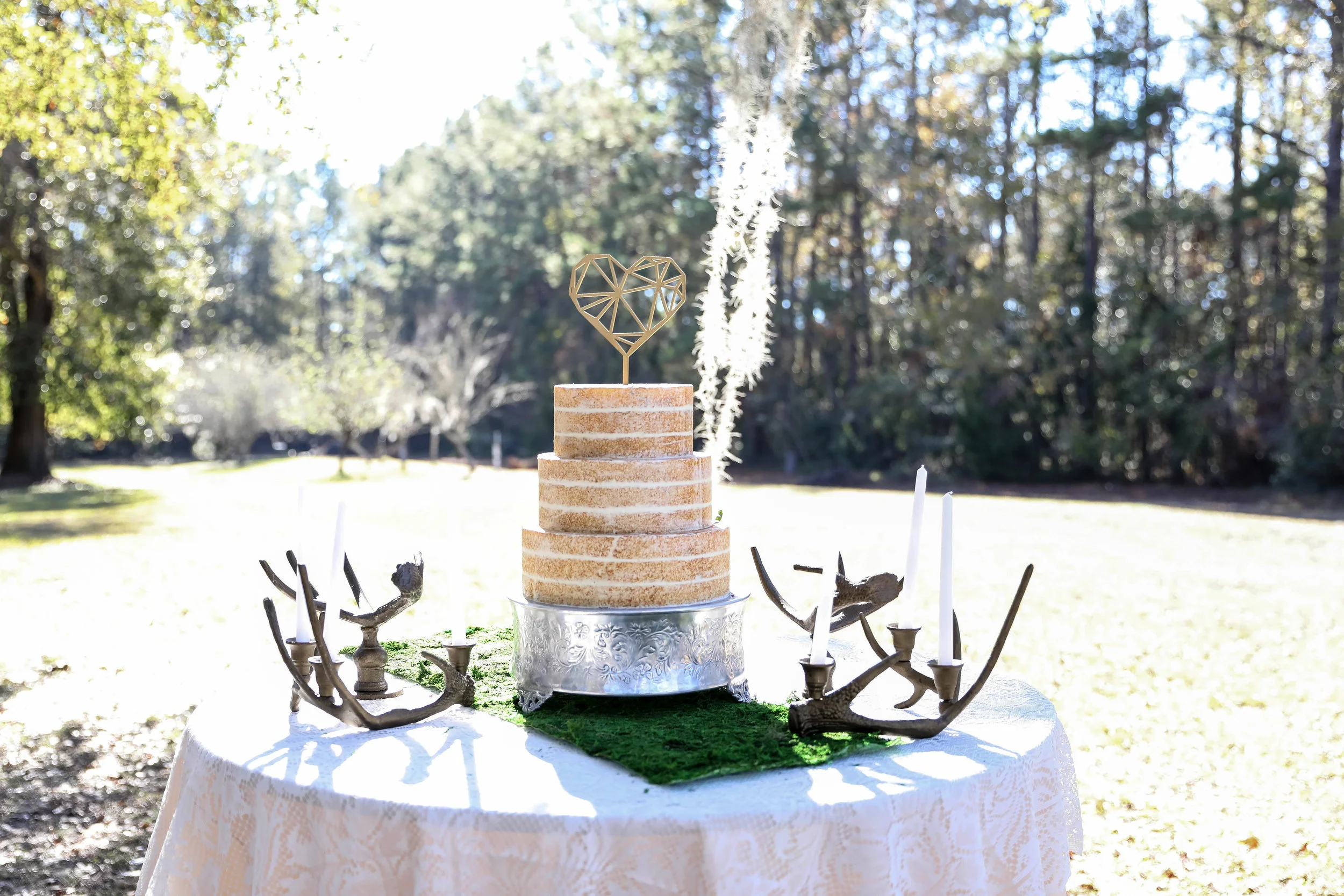 HorseStampInnWeddingWaverlyGA75.jpg