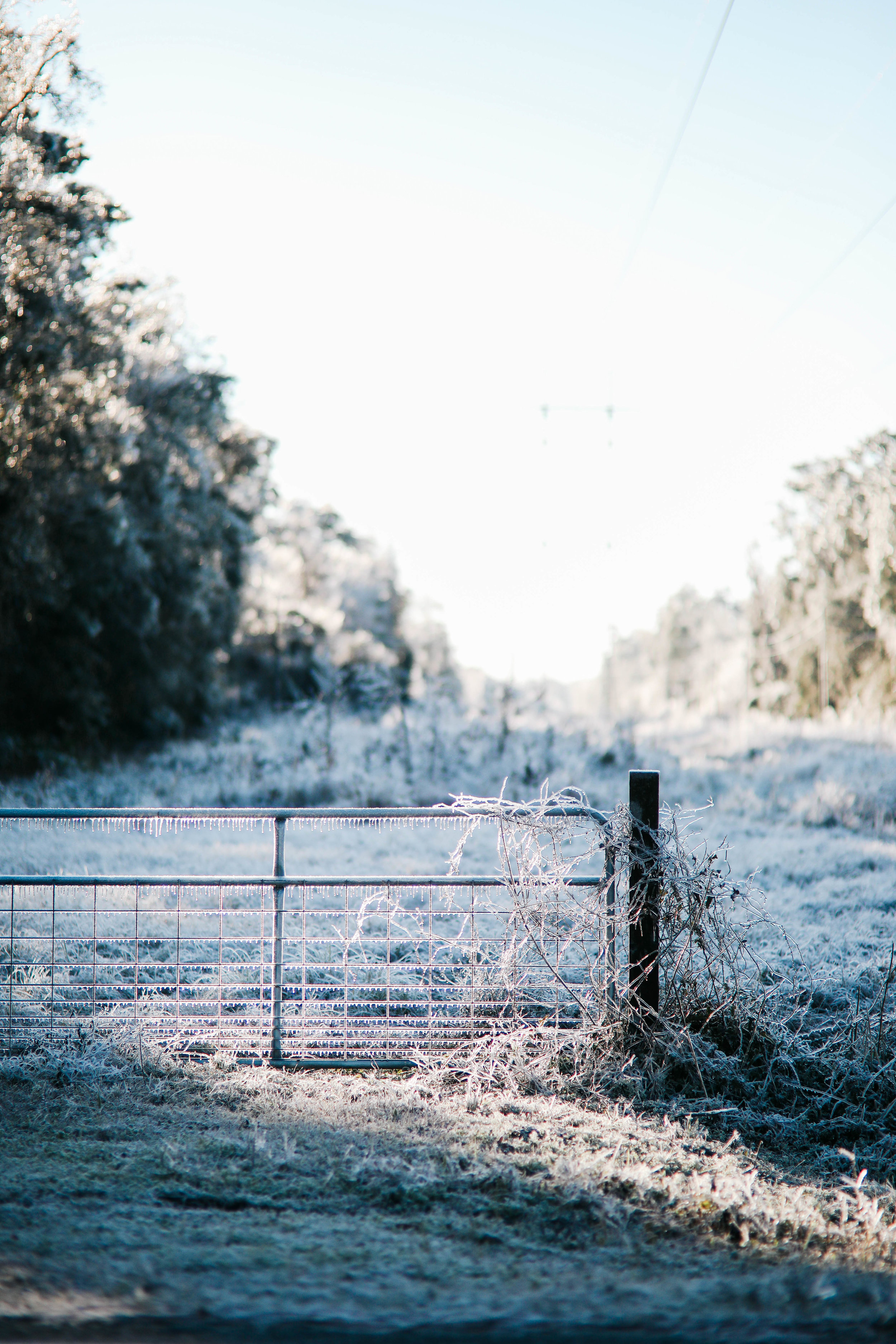 A fence is draped with ice and grass is covered in snow