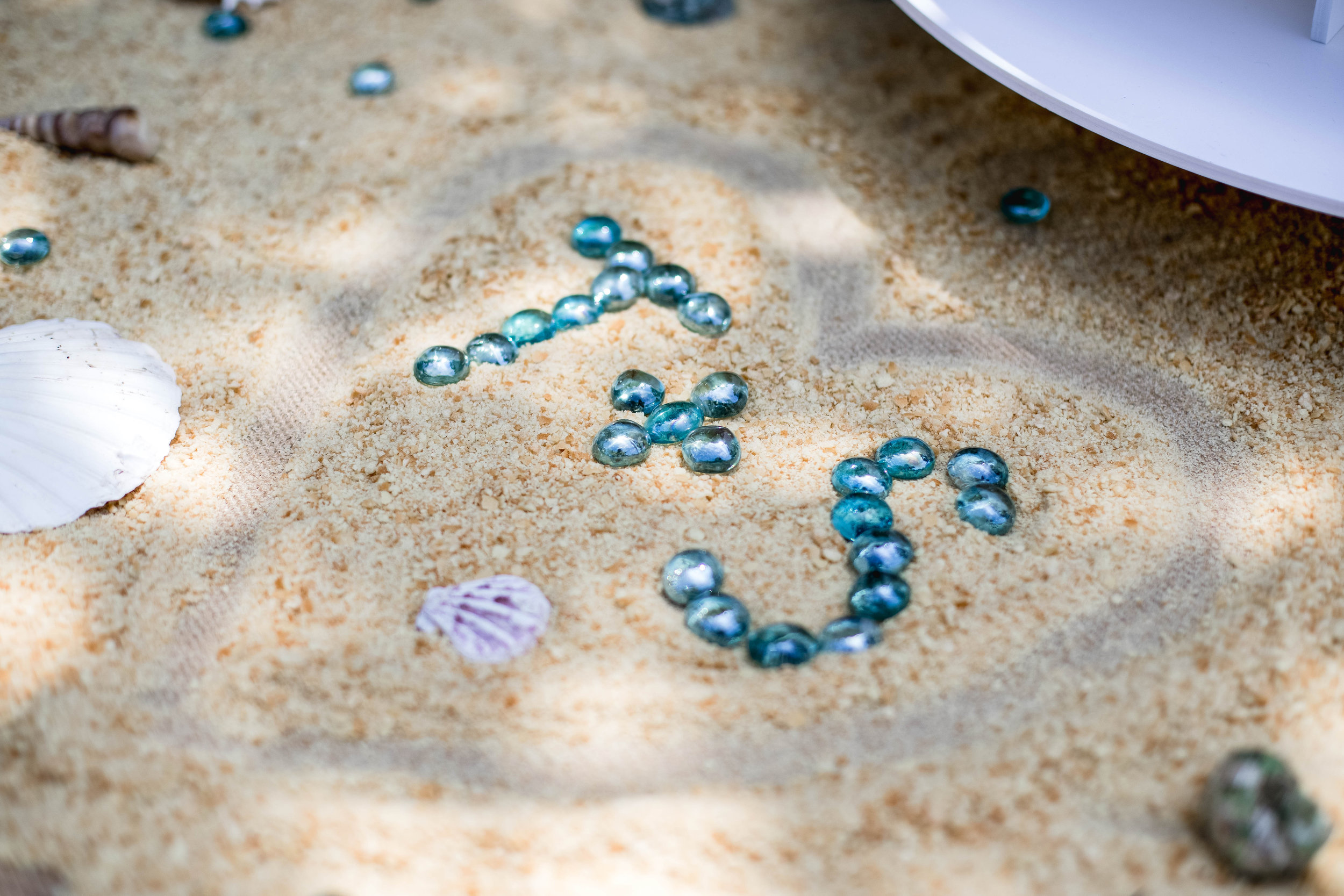 ShannonTonyEastBeachWedding29.jpg