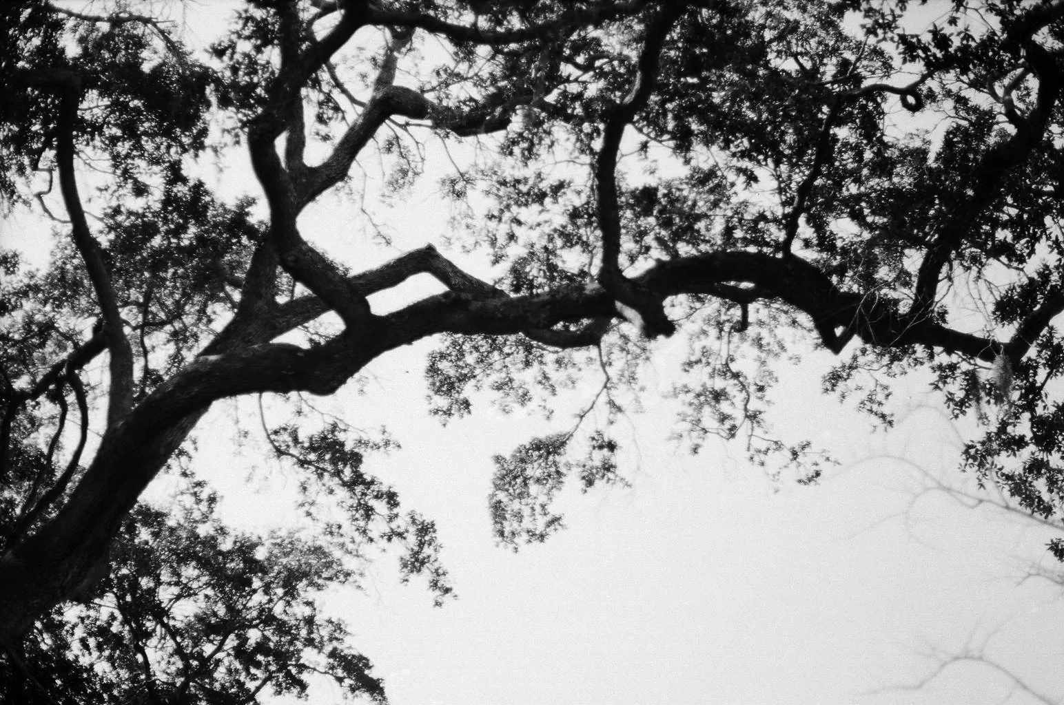 003_22A.JPG