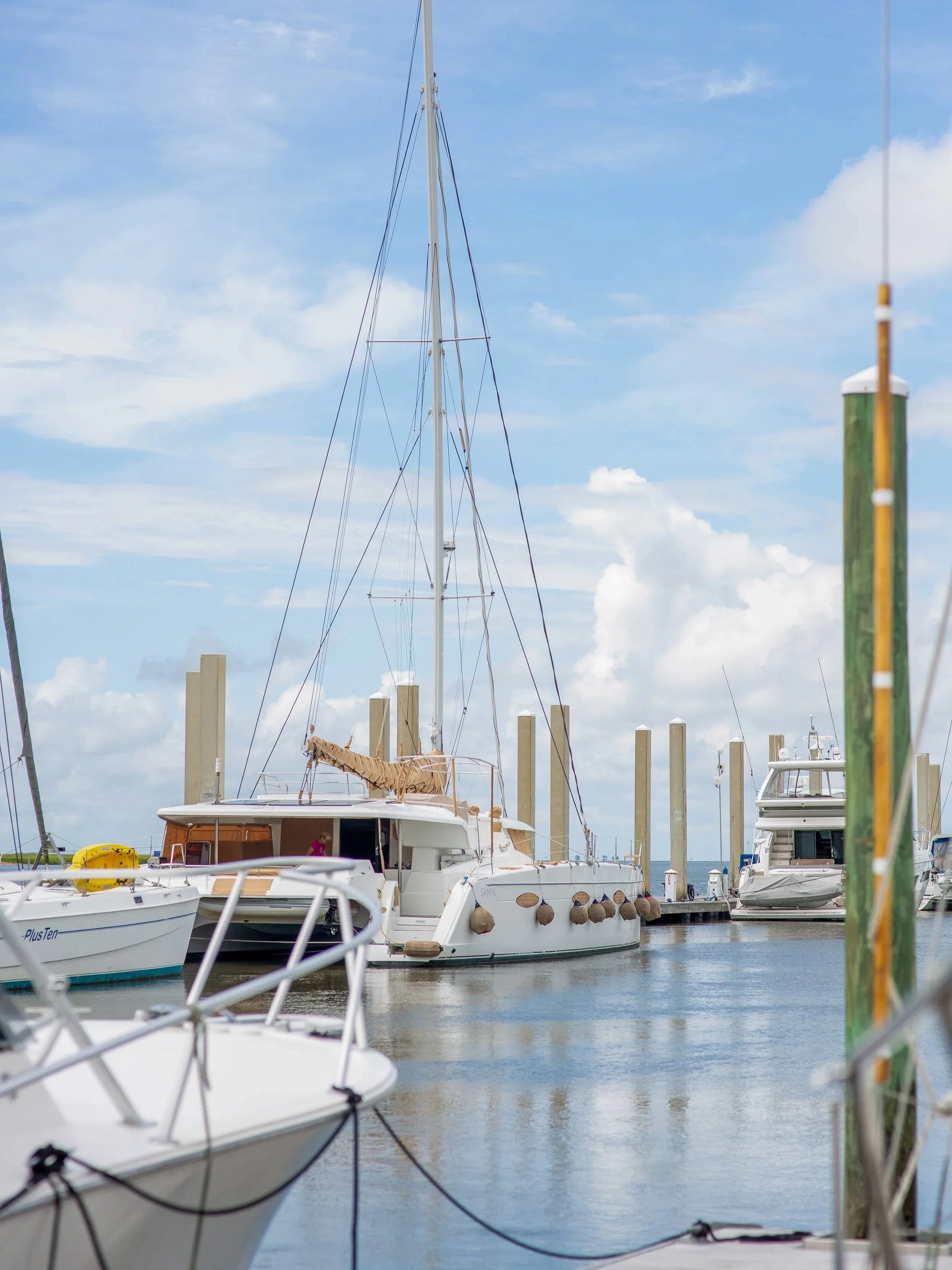Prepare for Your Trip to the Golden Isles