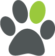 Dog Paw.png