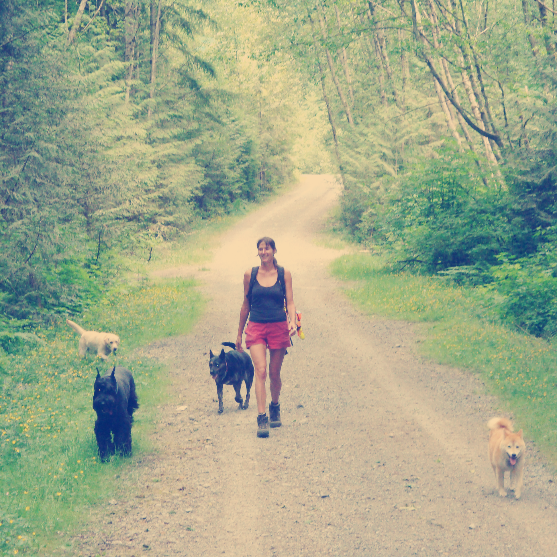 Val_Forest_Nashville_cropped.png