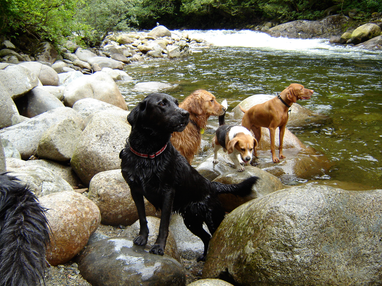 A day at the river!
