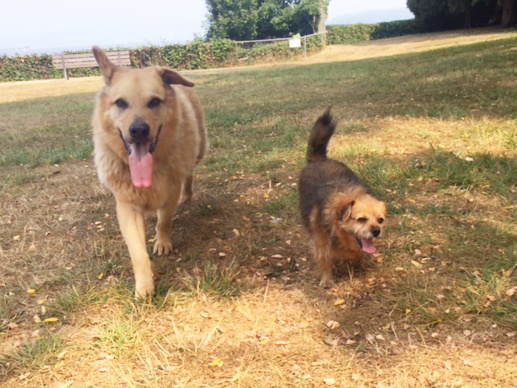 Caz & Lucy