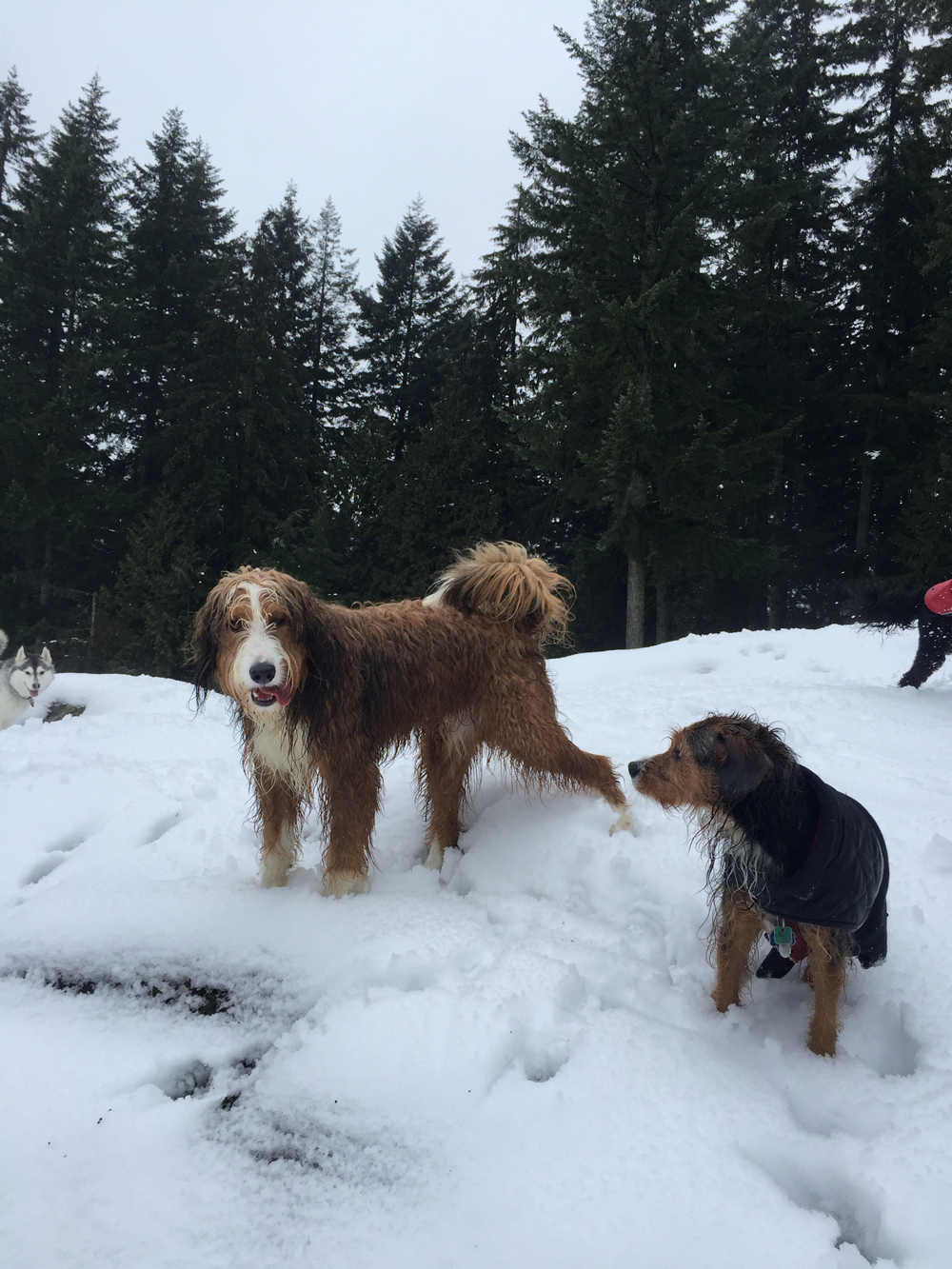 Fun in the snow!