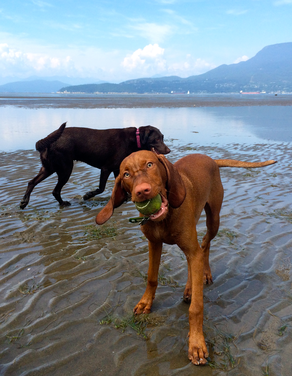 Ball time!