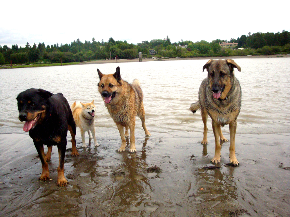 McDonald Beach fun