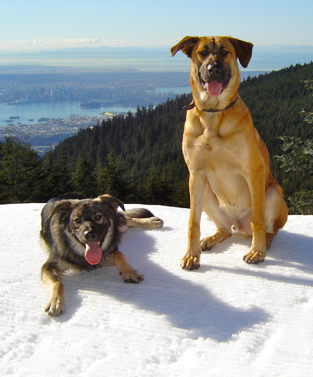 Best buddies!