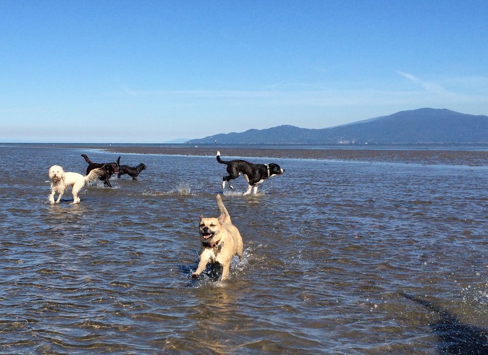 Beach fun!