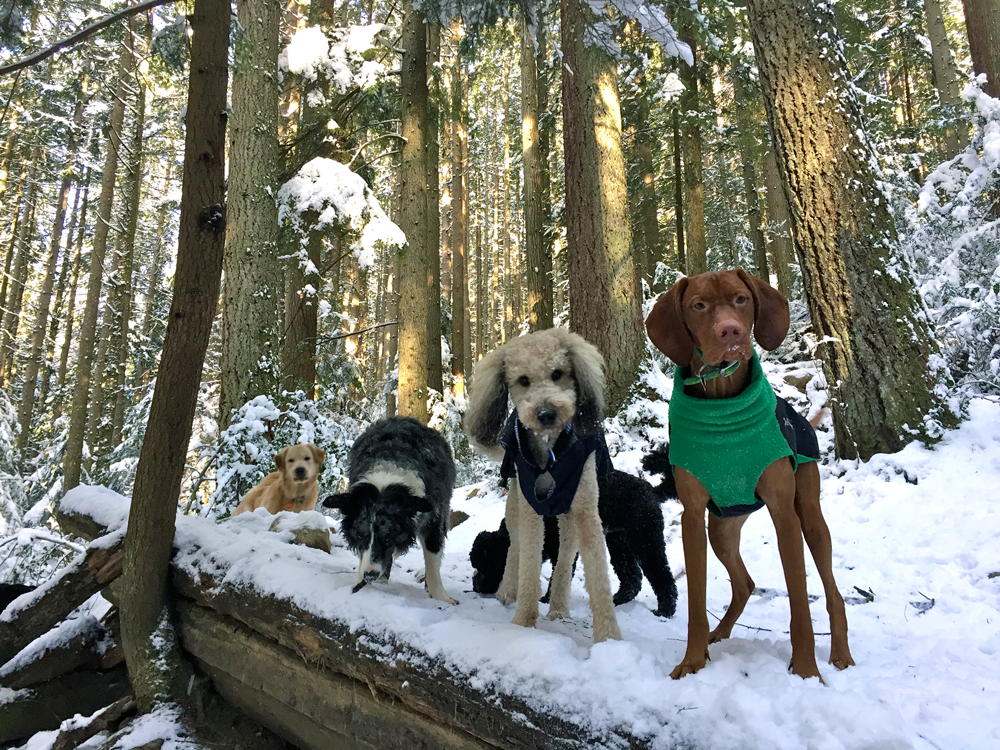 Snow & sunshine, it doesn't get much better than that!