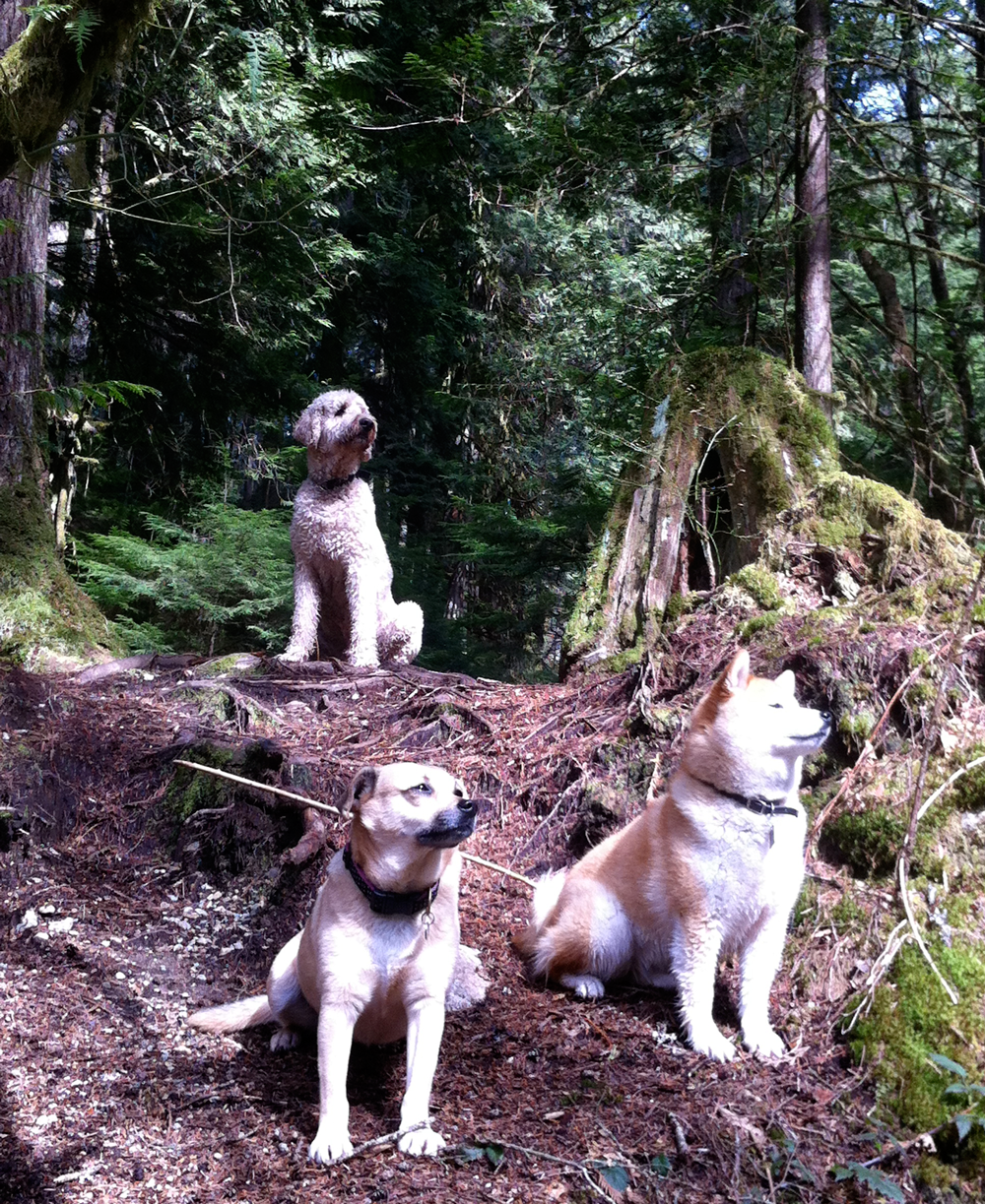 Sun worshippers!
