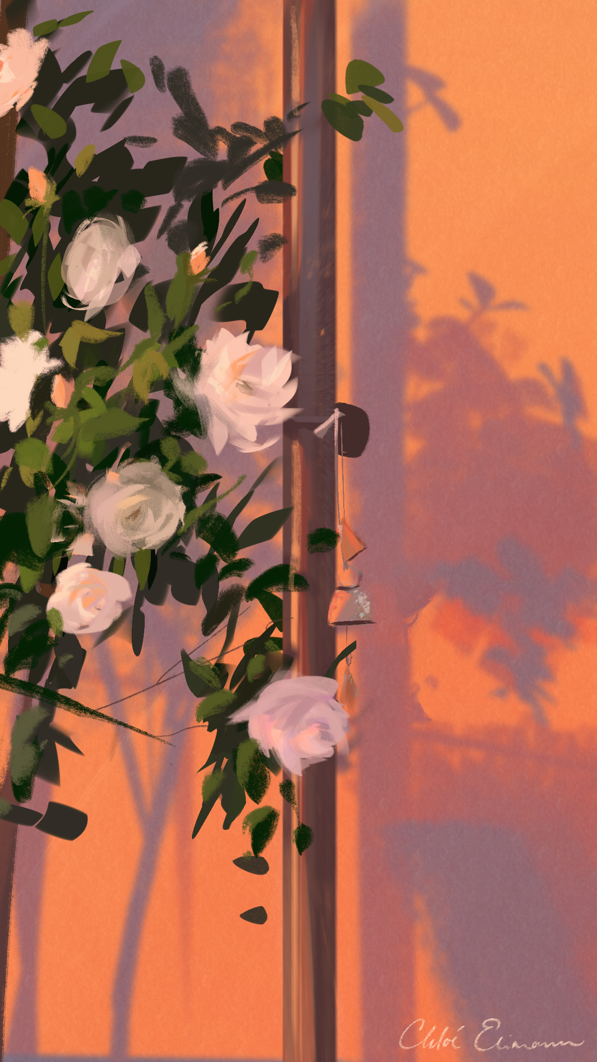 IMG_6265.png