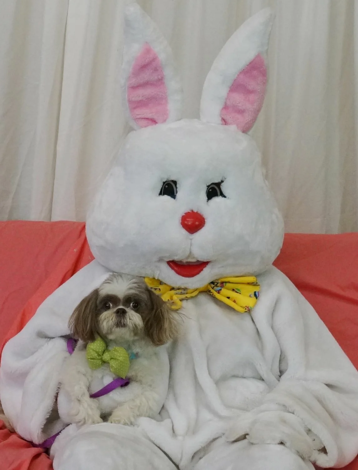 The oh so scary Easter Bunny